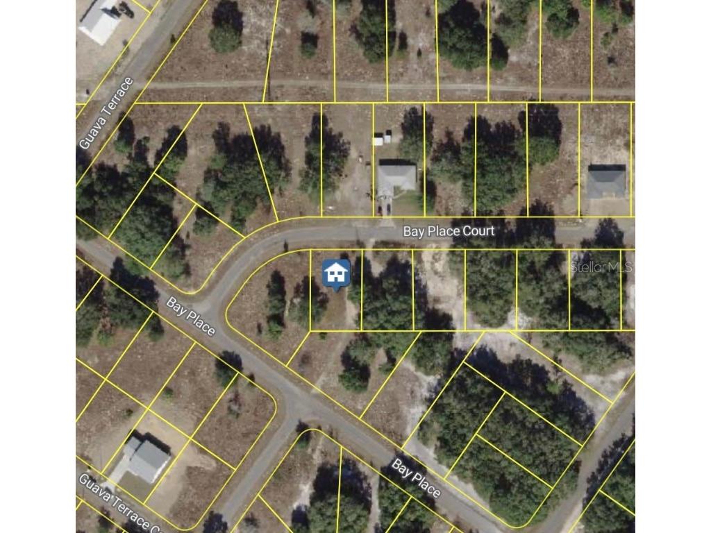 Bay Place Court Ocklawaha FL 32179 W7879096 image3