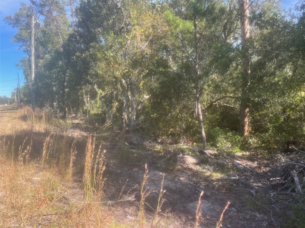 Bay Road Ocklawaha FL 32179 OM713606 image3