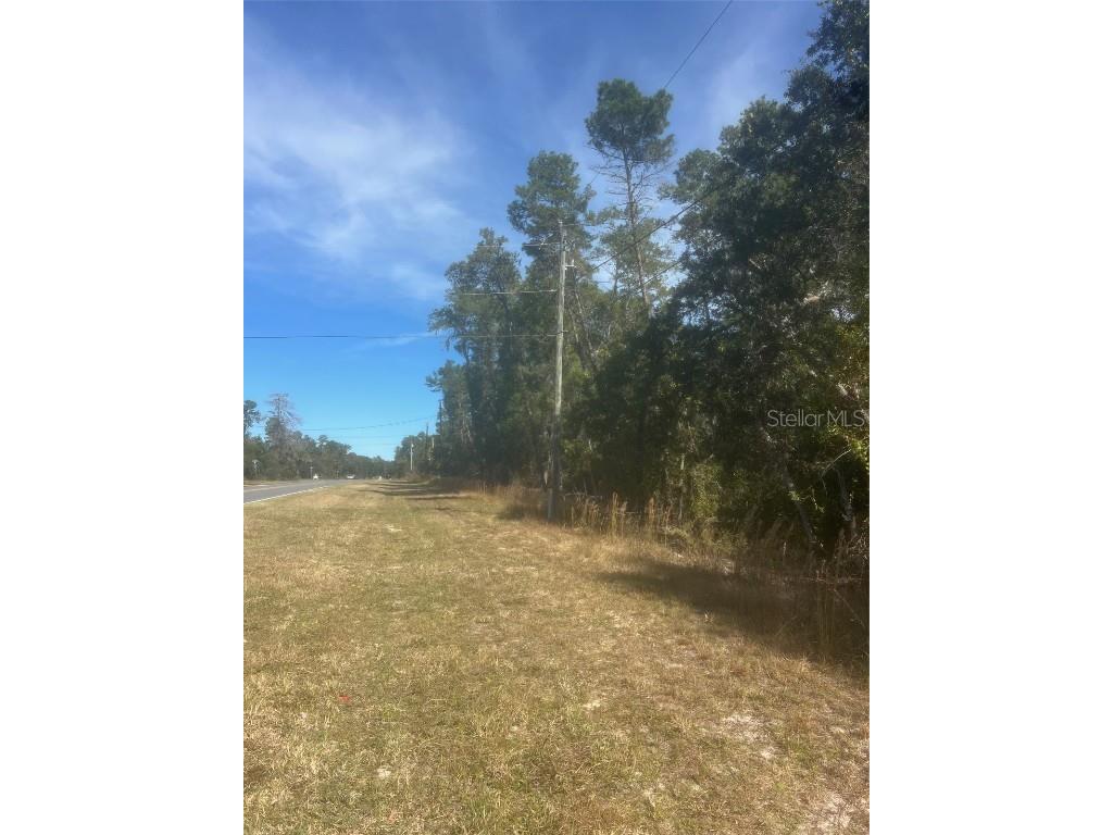 Bay Road Ocklawaha FL 32179 OM713606 image4