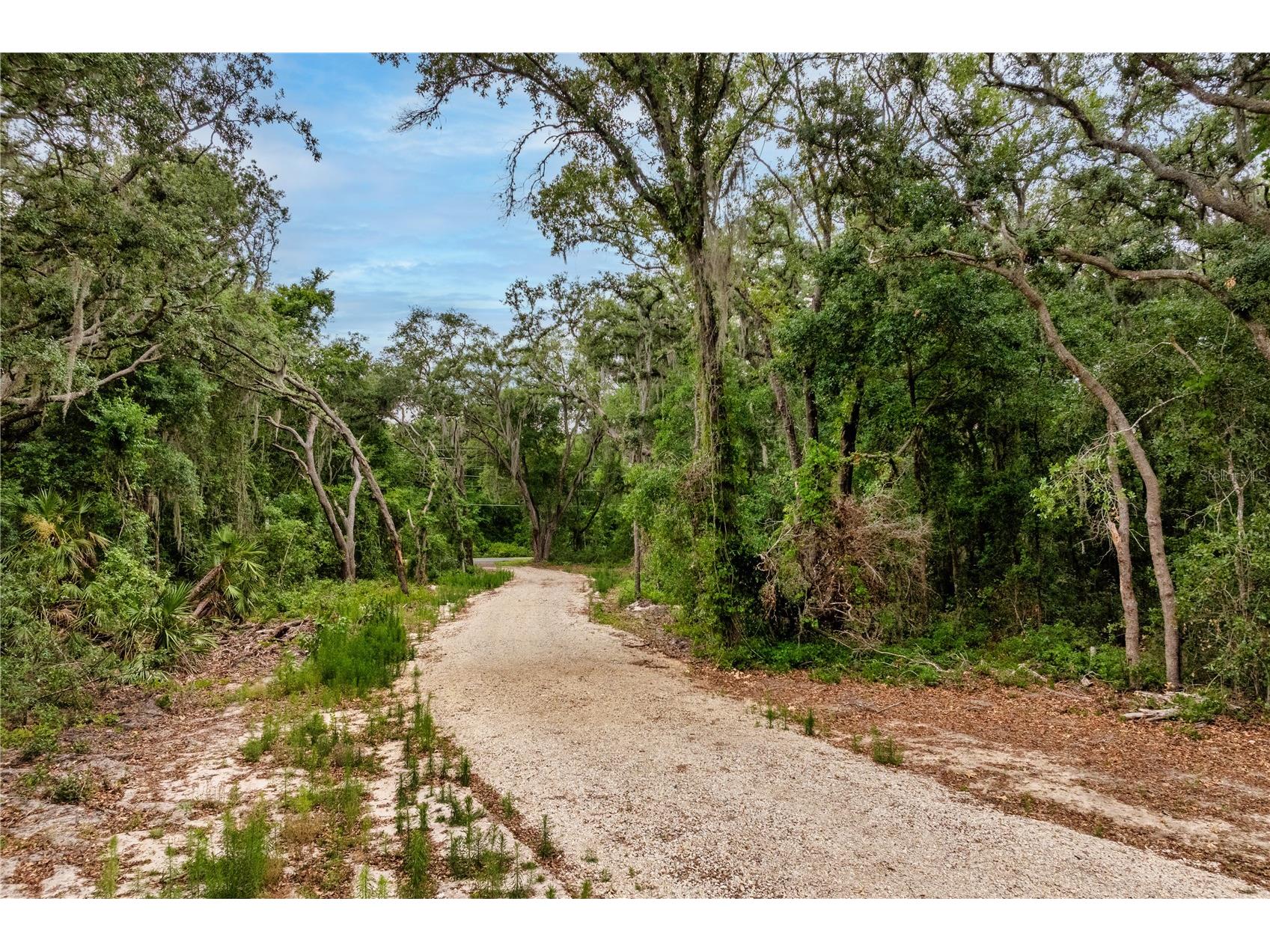 Bay Street Leesburg FL 34788 O6406705 image1