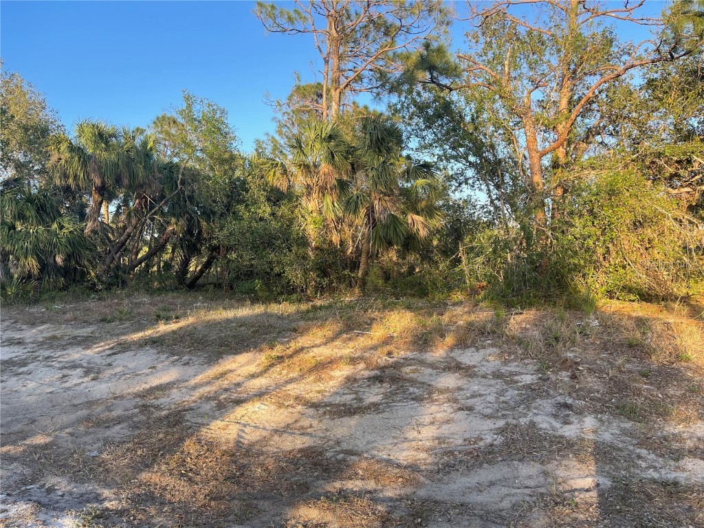 Baynes Road North Port FL 34288 C7511766 image2