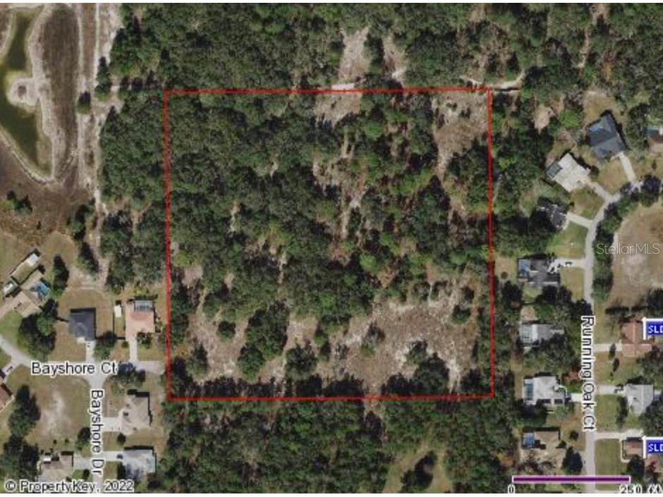 Bayshore Court Spring Hill FL 34608 T3365360 image1