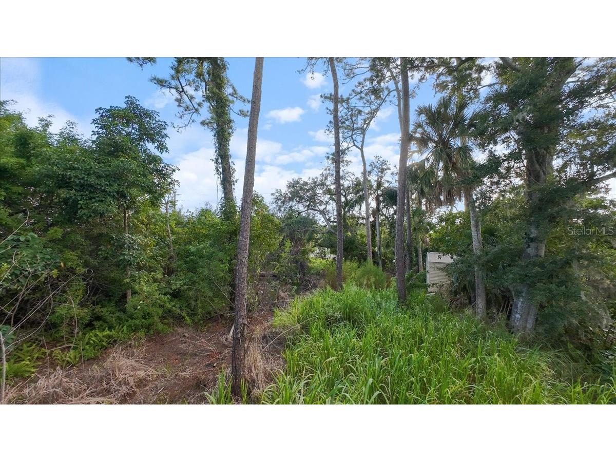 Bayshore Road Nokomis FL 34275 N6137578 image19