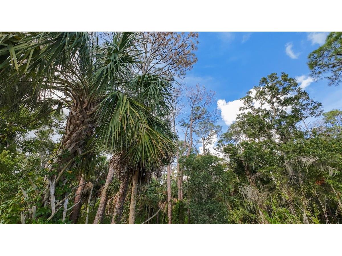 Bayshore Road Nokomis FL 34275 N6137578 image20