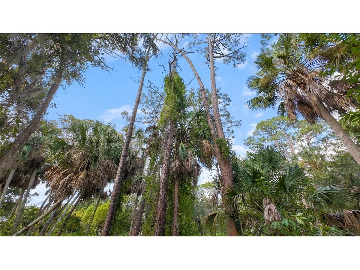 Bayshore Road Nokomis FL 34275 N6137578 image21