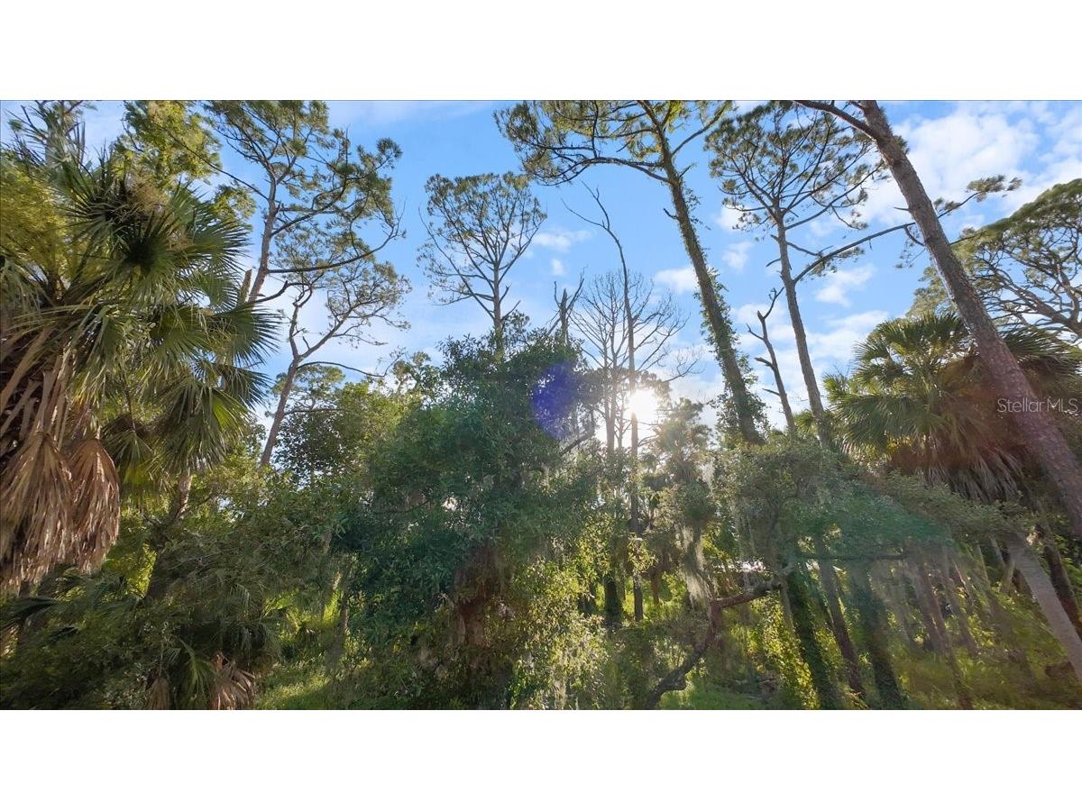 Bayshore Road Nokomis FL 34275 N6137578 image22