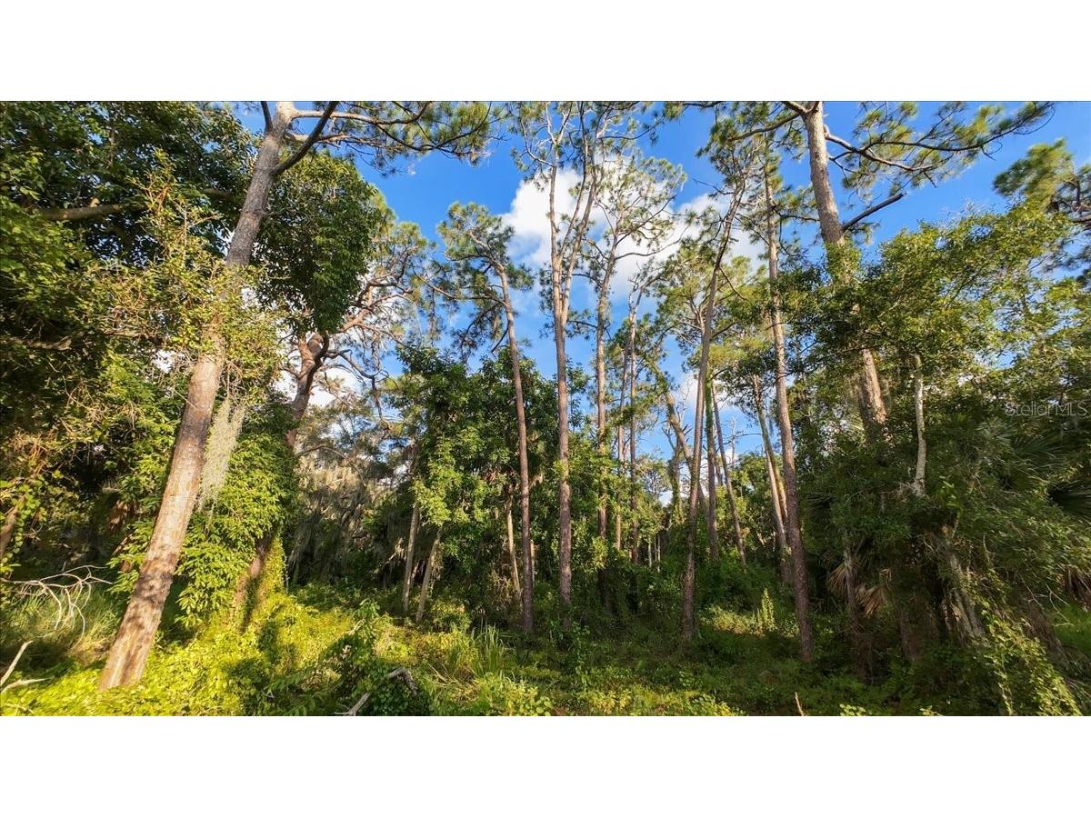 Bayshore Road Nokomis FL 34275 N6137578 image23