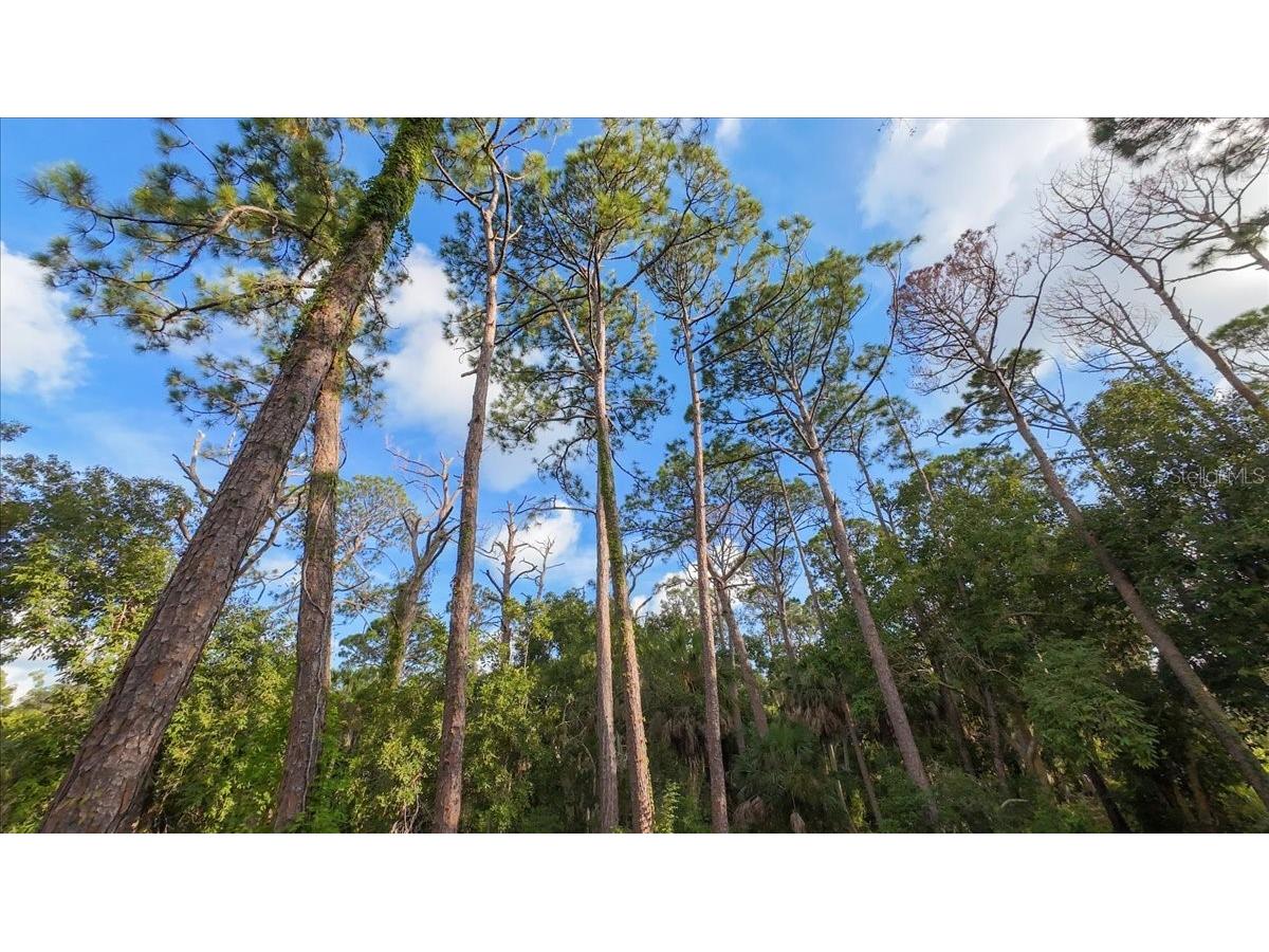 Bayshore Road Nokomis FL 34275 N6137578 image24