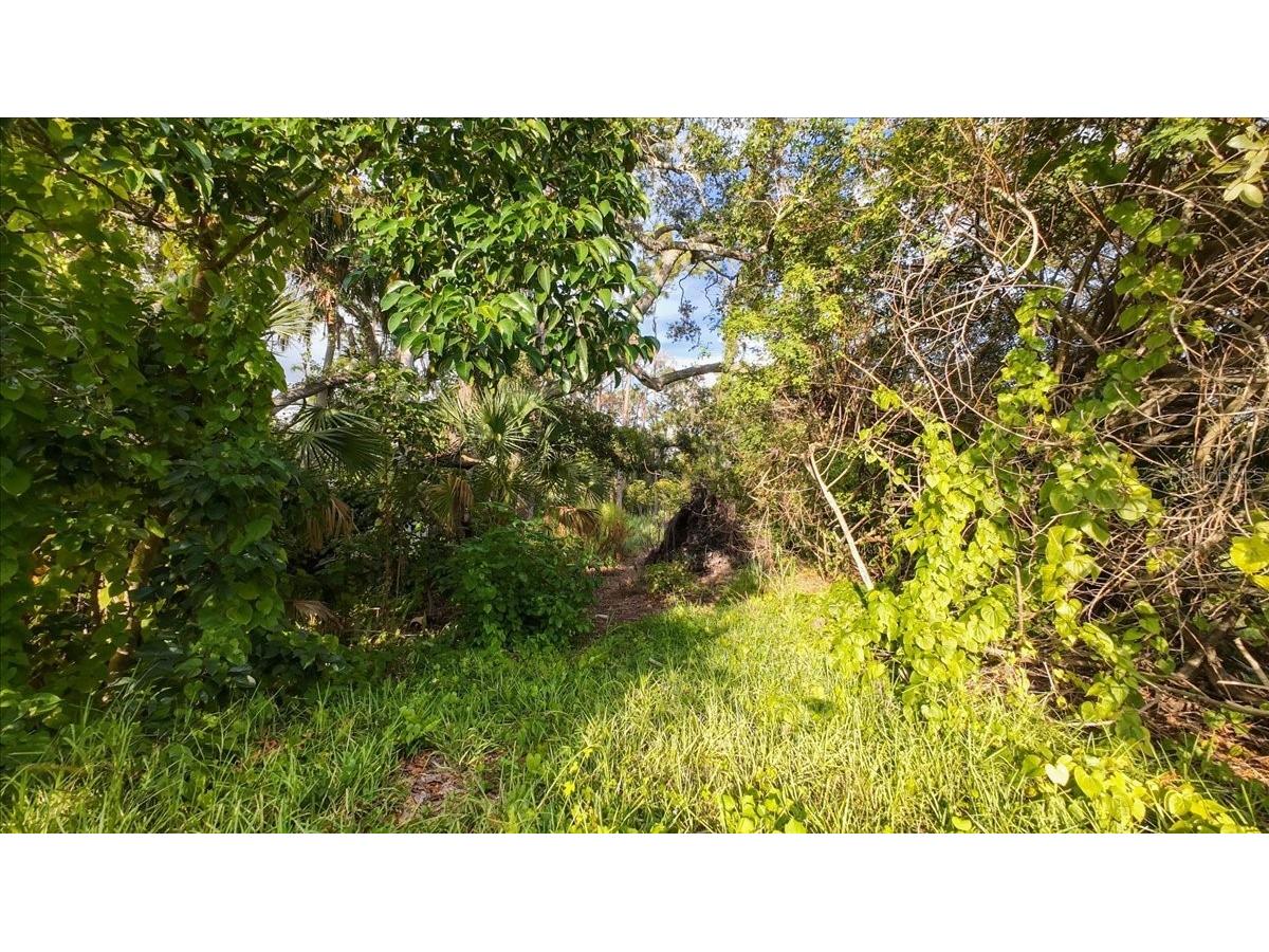 Bayshore Road Nokomis FL 34275 N6137578 image25