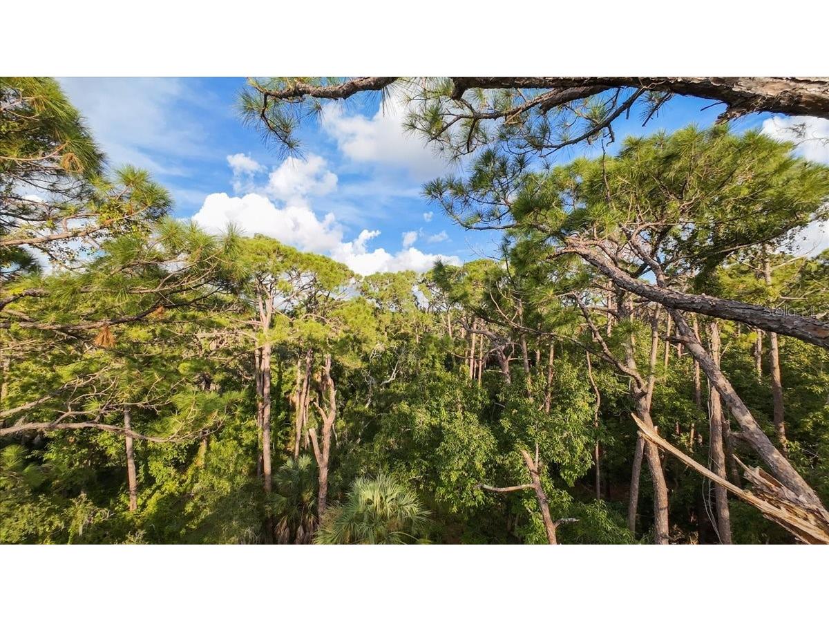 Bayshore Road Nokomis FL 34275 N6137578 image26