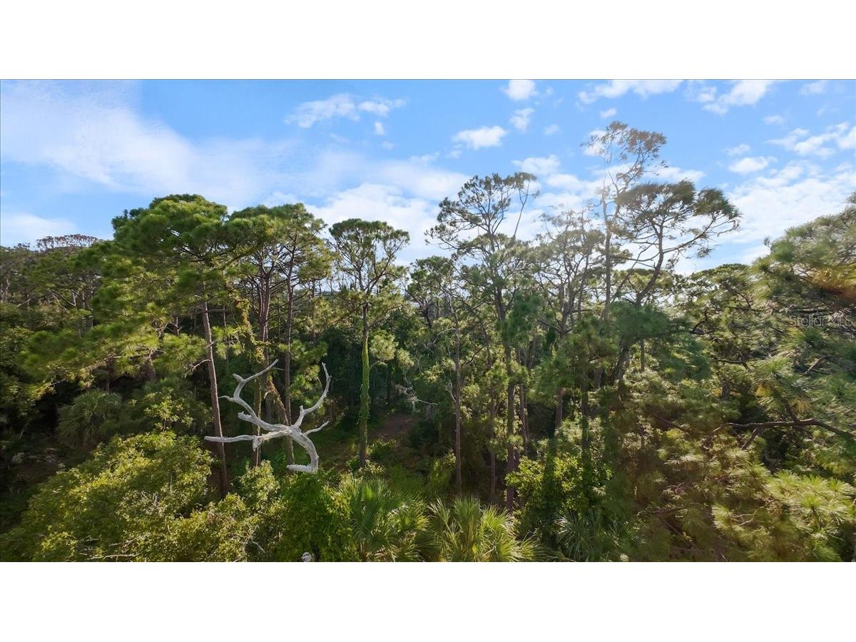 Bayshore Road Nokomis FL 34275 N6137578 image27