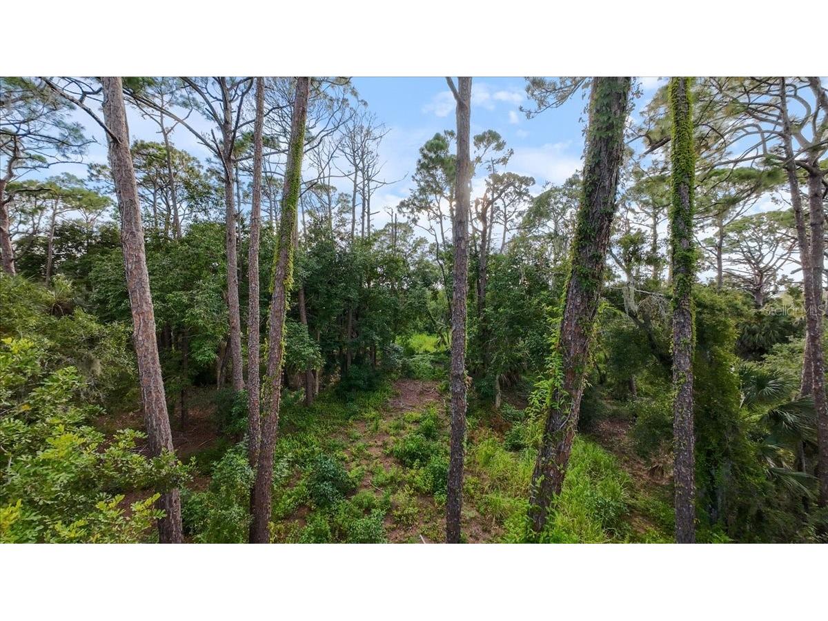 Bayshore Road Nokomis FL 34275 N6137578 image28