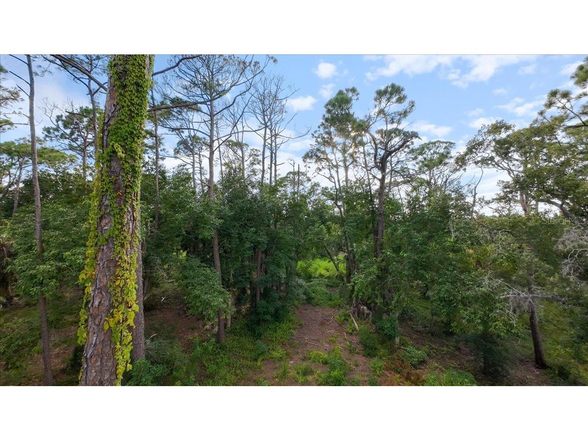 Bayshore Road Nokomis FL 34275 N6137578 image29