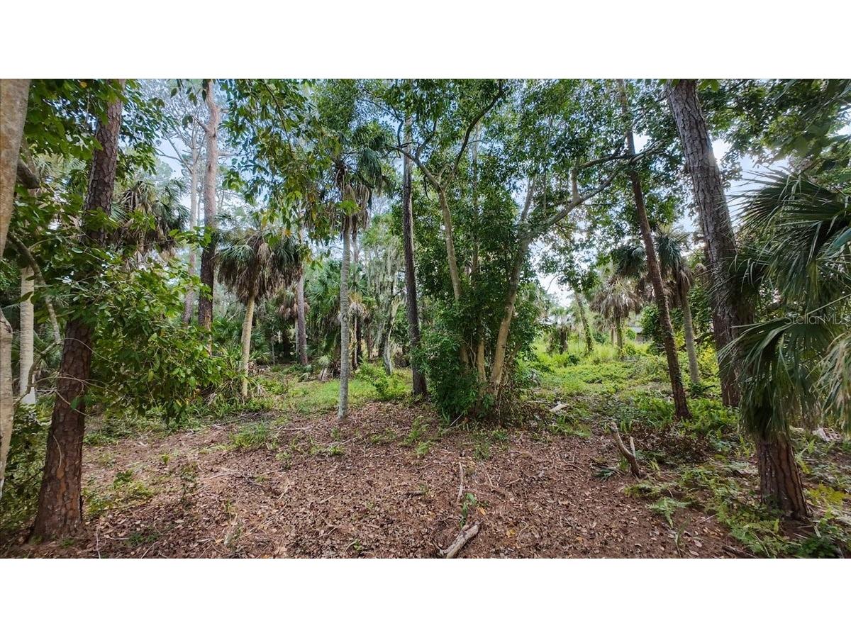 Bayshore Road Nokomis FL 34275 N6137578 image30