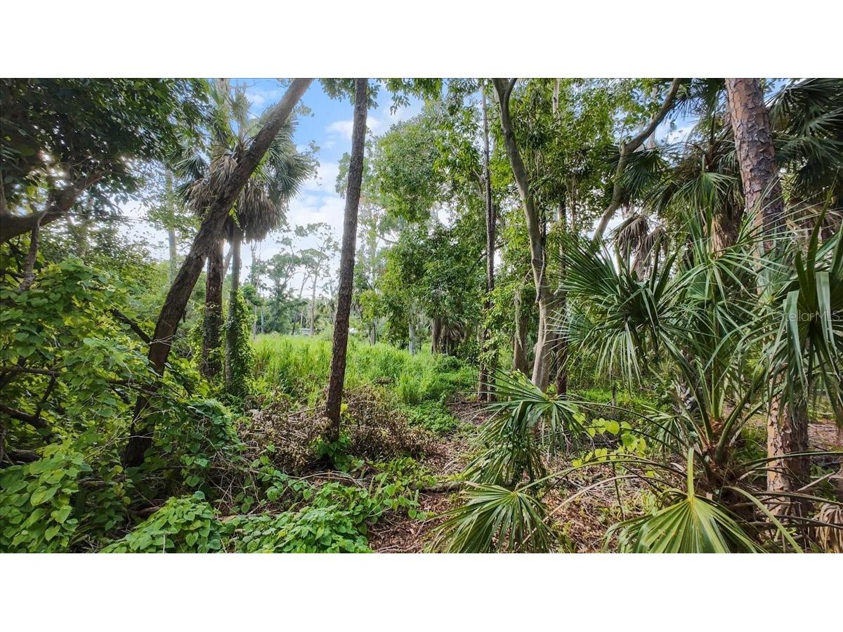 Bayshore Road Nokomis FL 34275 N6137578 image31