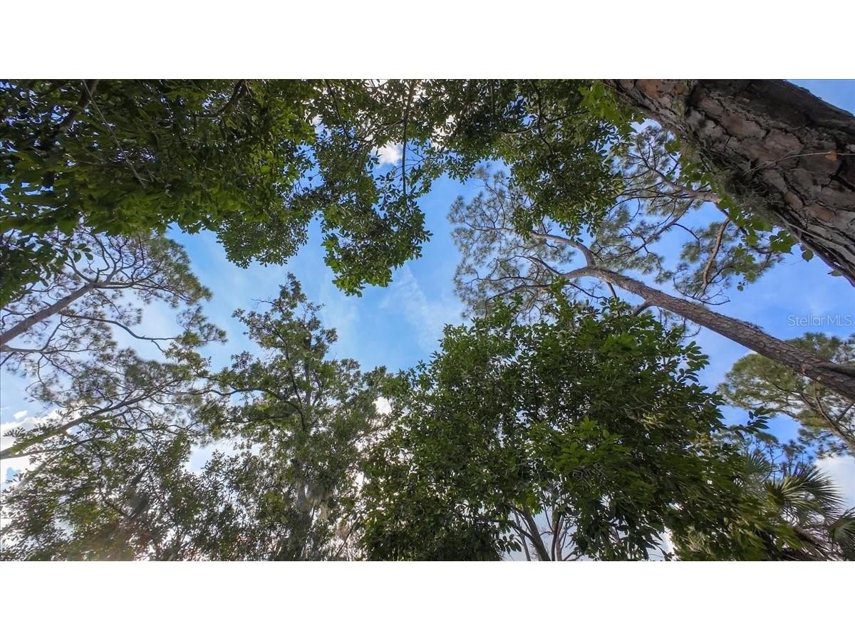 Bayshore Road Nokomis FL 34275 N6137578 image32