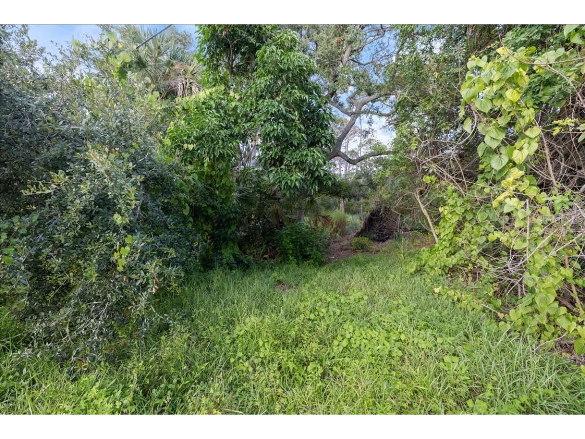 Bayshore Road Nokomis FL 34275 N6137578 image34