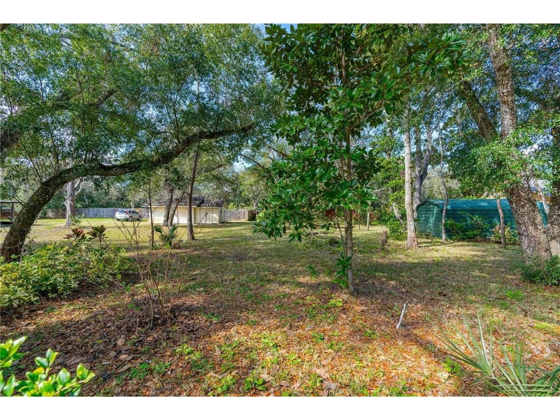 Bayview Avenue New Smyrna Beach FL 32168 V4940973 image29