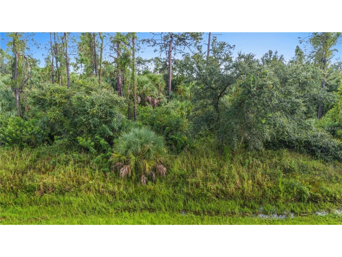 Baywood Avenue North Port FL 34288 C7517583 image1