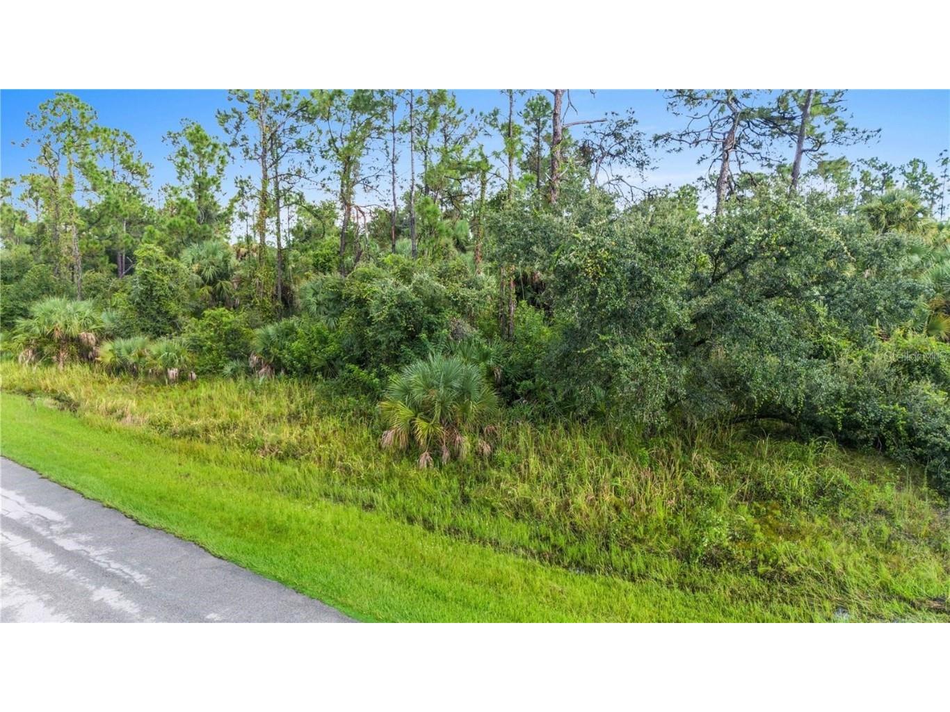 Baywood Avenue North Port FL 34288 C7517583 image5