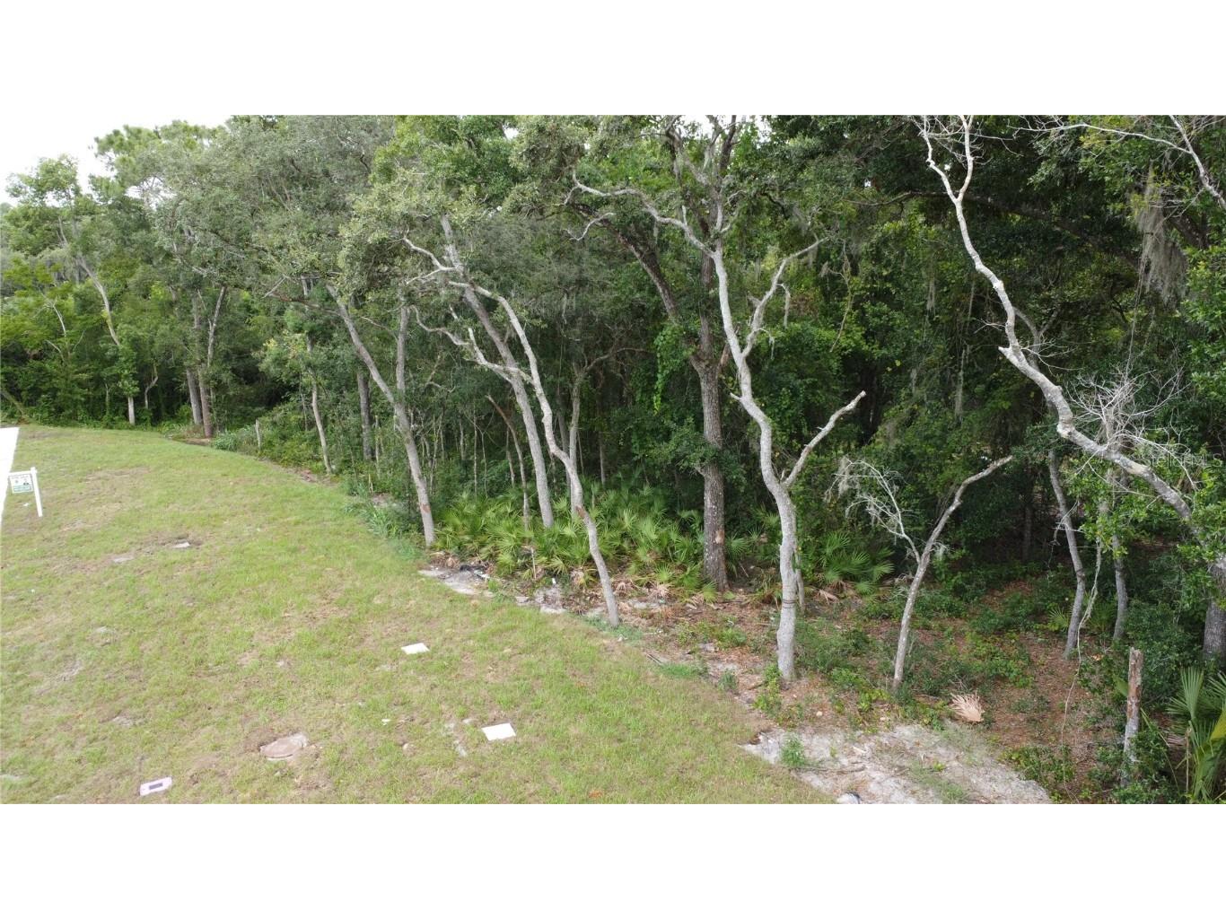 Baywood Street Altamonte Springs FL 32701 O6233368 image4