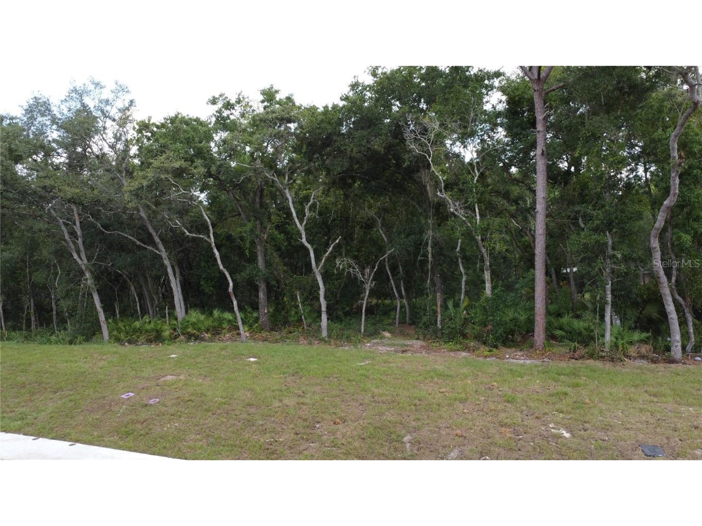 Baywood Street Altamonte Springs FL 32701 O6233368 image5