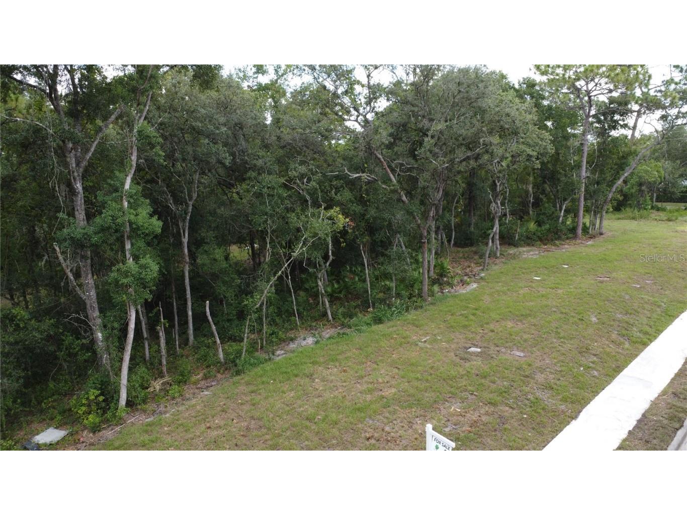 Baywood Street Altamonte Springs FL 32701 O6233368 image6