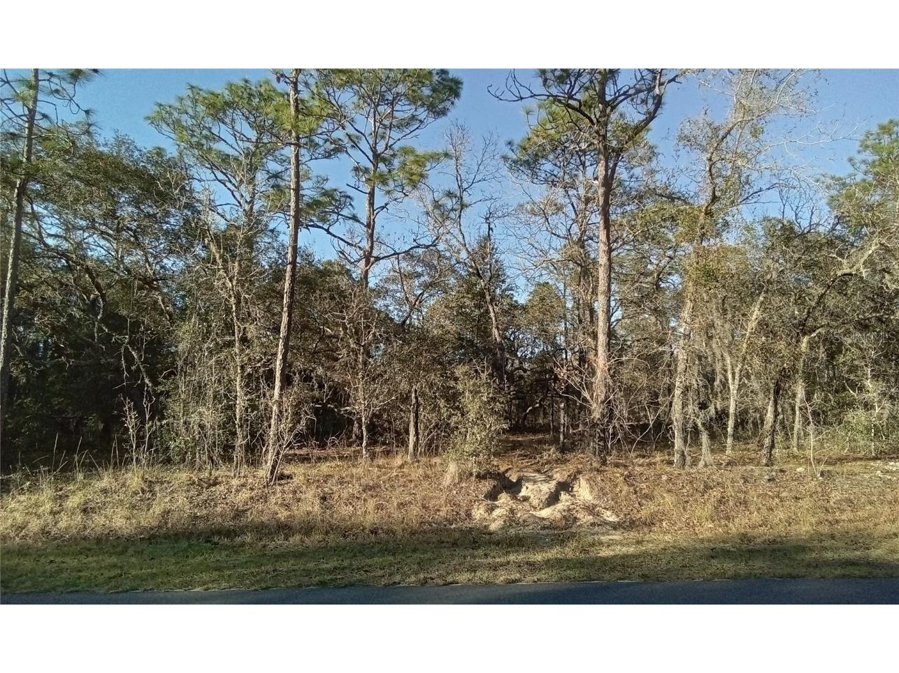 Beach Blvd Dunnellon FL 34431 OM675497 image1