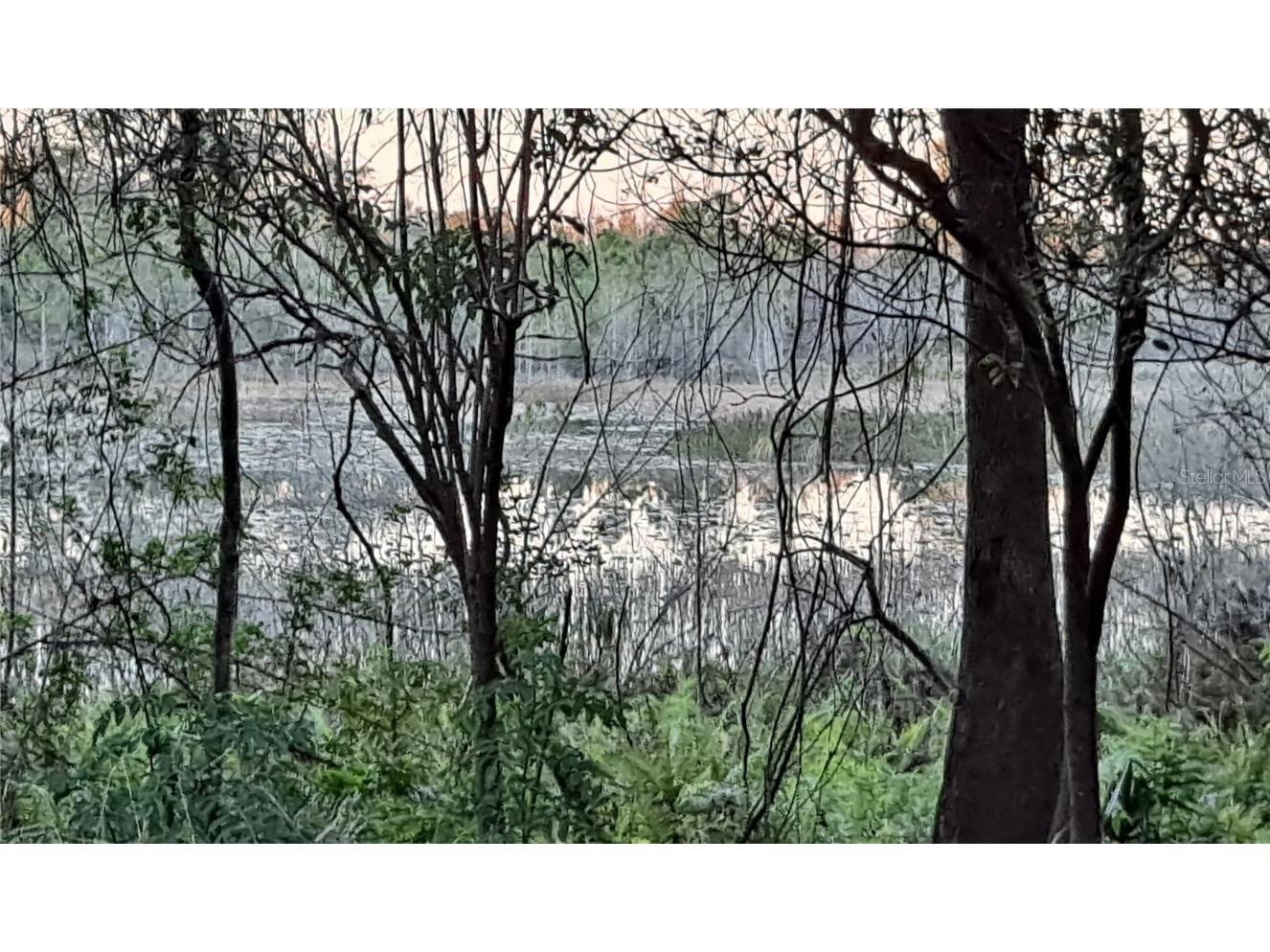 Beach Drive Umatilla FL 32784 - Silver Lake G5062081 image1