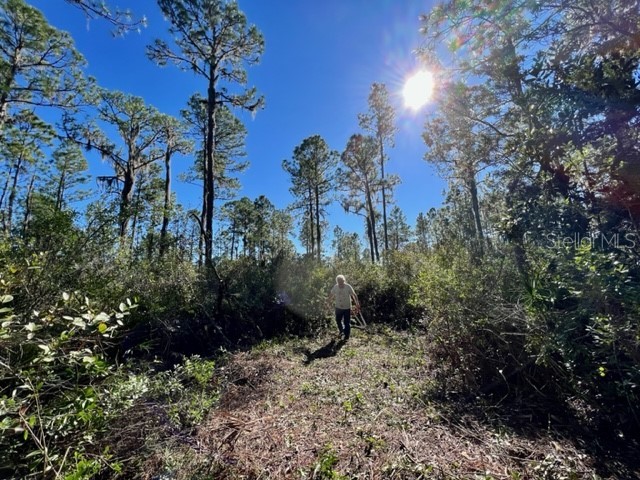 Beacon Circle Georgetown FL 32139 V4932450 image1