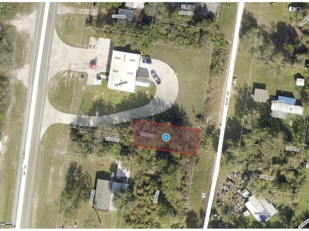 Bear Road Altoona FL 32702 G5076775 image1