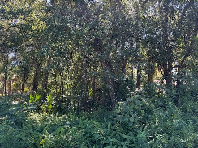 Beau Court Orange City FL 32763 V4945451 image1