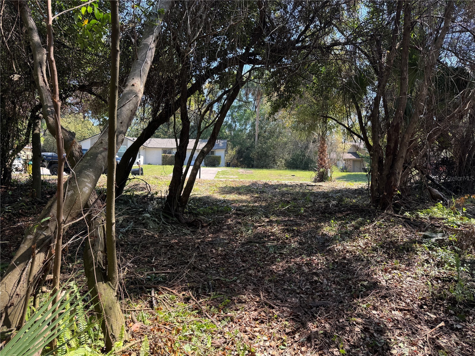 Beau Court Orange City FL 32763 V4945451 image5