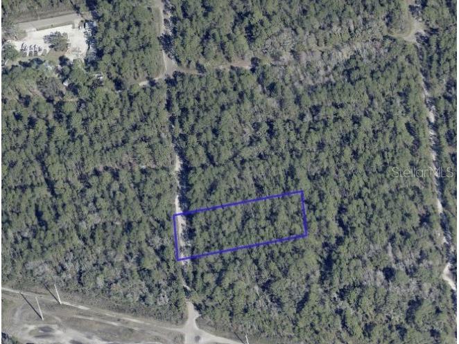 Beckenger Avenue Hastings FL 32145 O6372315 image1