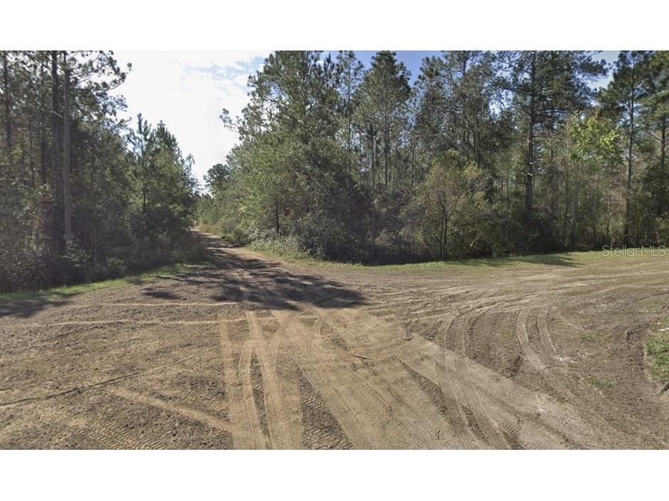 Beckenger Avenue Hastings FL 32145 O6372315 image2