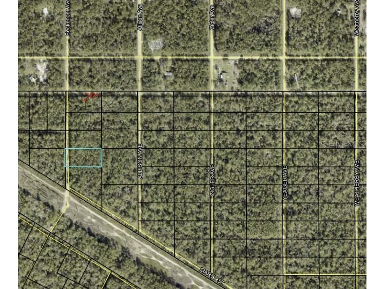 Beckenger Avenue Hastings FL 32145 O6372315 image3