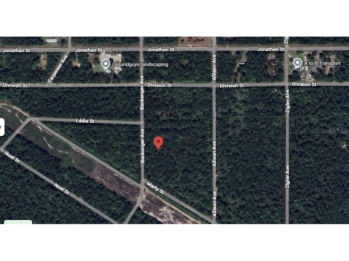 Beckenger Avenue Hastings FL 32145 O6372315 image4