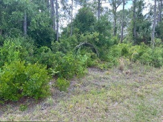 Beckwith Avenue North Port FL 34291 O6351699 image2