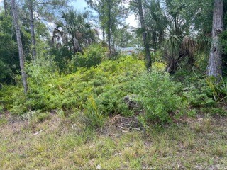 Beckwith Avenue North Port FL 34291 O6351699 image4