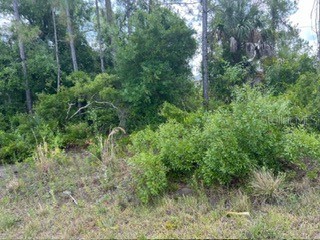 Beckwith Avenue North Port FL 34291 O6351699 image6