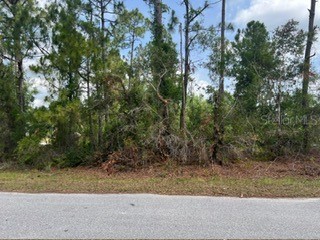 Beckwith Avenue North Port FL 34291 O6351699 image7