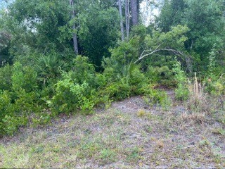 Beckwith Avenue North Port FL 34291 O6351699 image9