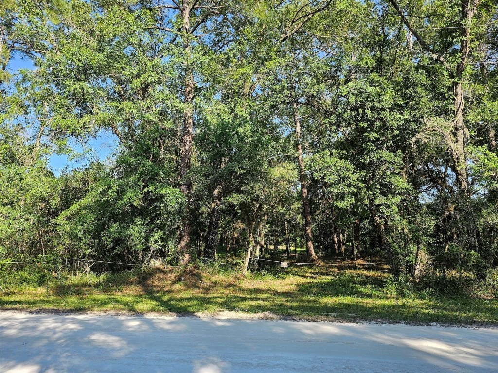 Bedstone Drive Webster FL 33597 O6108950 image1