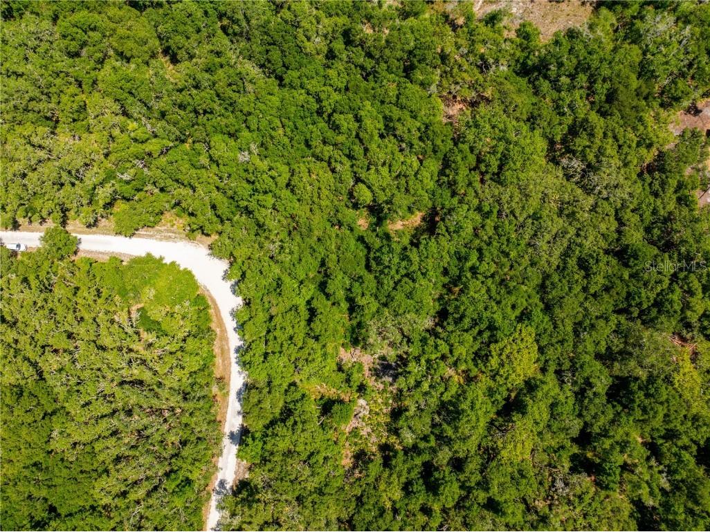 Beechnut Drive Webster FL 33597 T3528174 image1