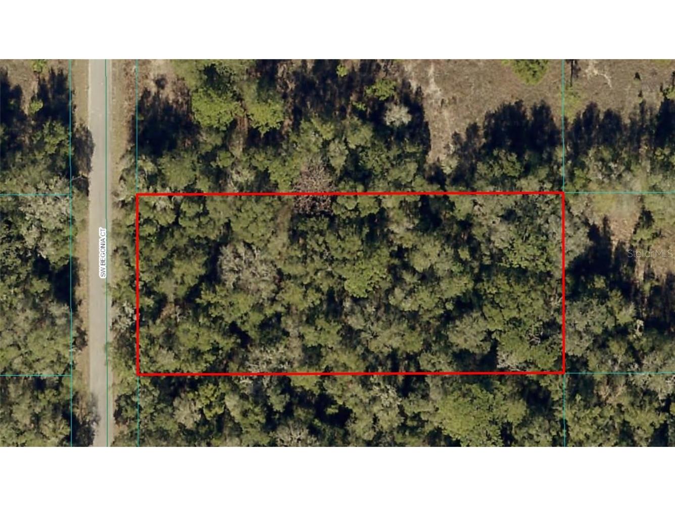 Begonia Court Dunnellon FL 34431 OM685641 image1