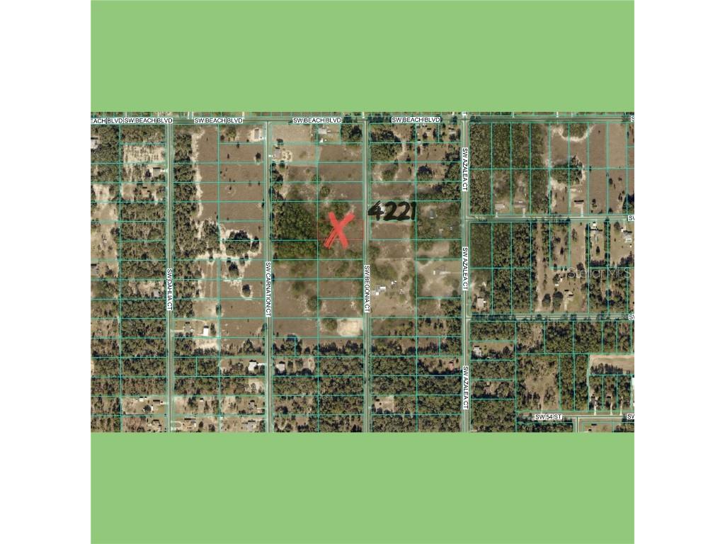 Begonia Court Dunnellon FL 34431 OM714055 image2