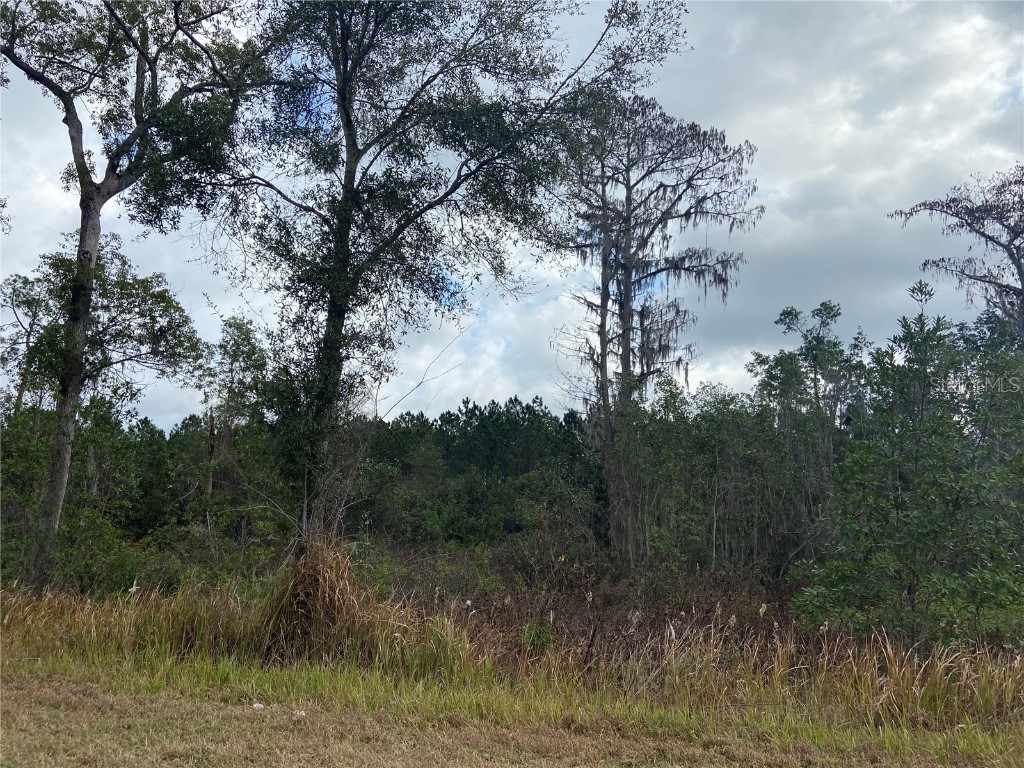 Belaire Paper Avenue Deltona FL 32725 V4929839 image1