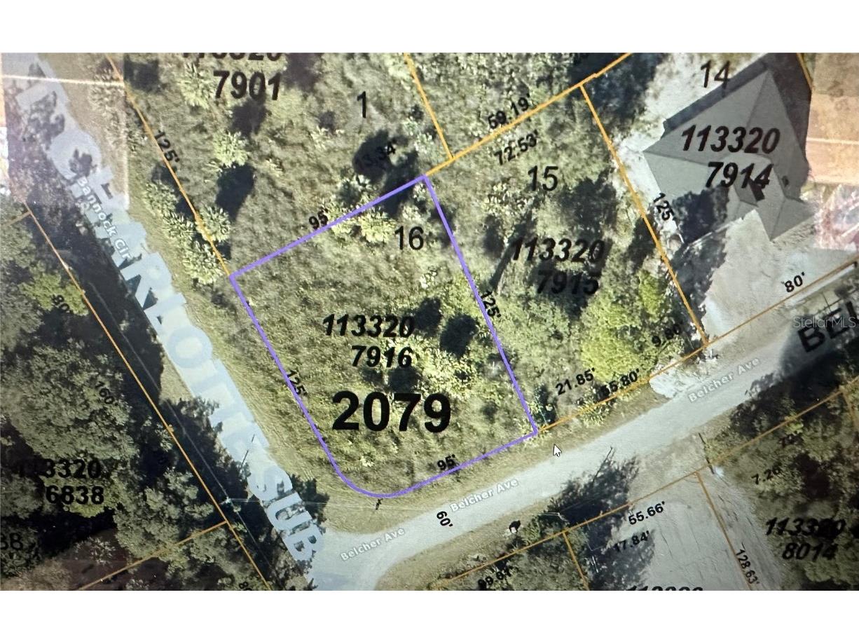 Belcher Ave North Port FL 34288 OM652867 image1