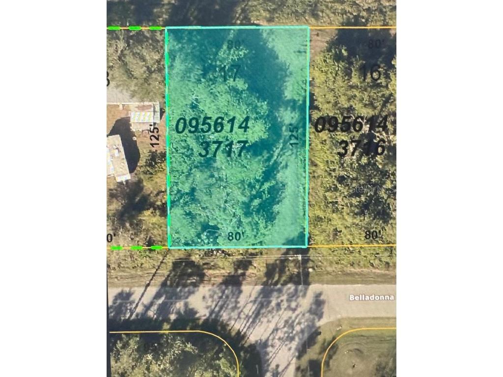 Belladonna Avenue North Port FL 34286 A4658690 image1