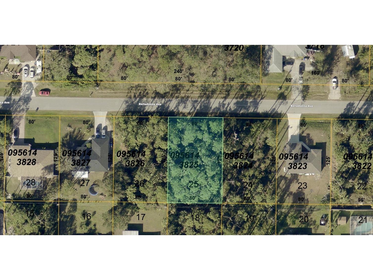 Belladonna Avenue North Port FL 34286 A4674629 image1